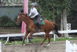 Iggy Azalea - Iggy Azalea - Horseback riding lesson in LA - February 27, 2015 (20xHQ) 388pOXMb