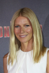 Gwyneth Paltrow - attends the 'Iron Man 3' Photocall at Hotel Bayerischer Hof on April 12, 2013 in Munich, Germany - 16xHQ 6hcw8ReE