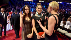 Nikki and Brie Bella @ WWE Hall of Fame Ceromony in Dallas, TX - 04/02/2016